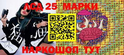 ALPHA-PVP Гатчина