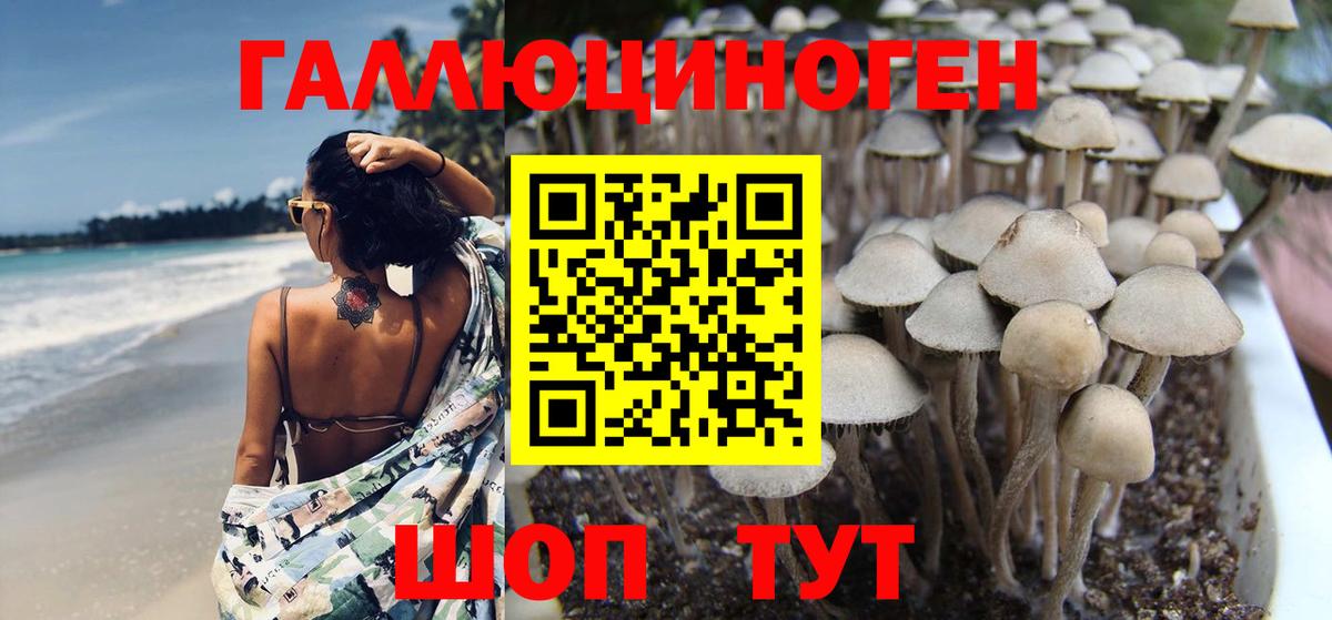 Псилоцибиновые грибы Magic Shrooms Бердск