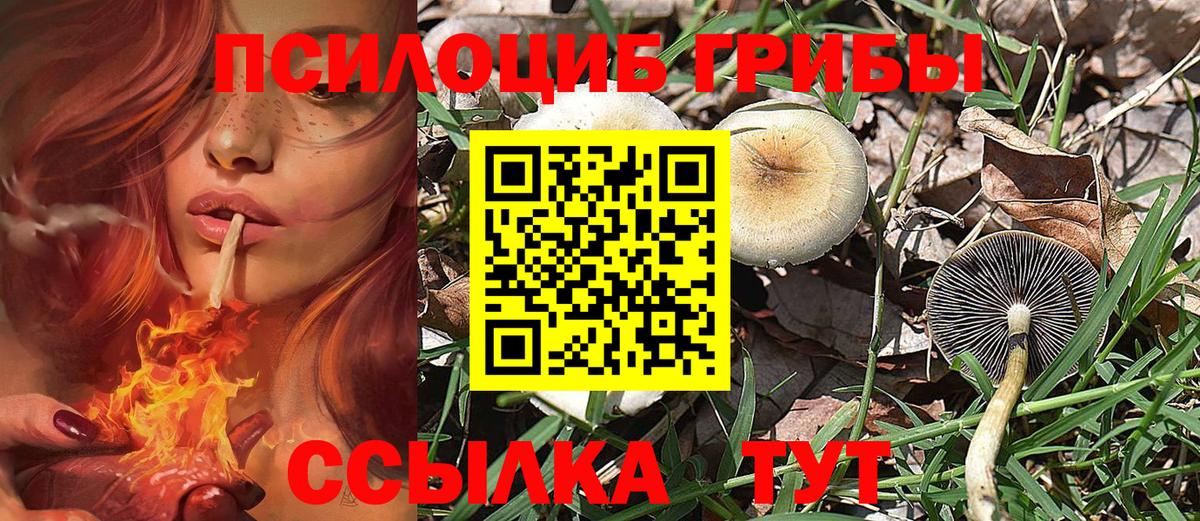 Галлюциногенные грибы прущие грибы  Галлюциногенные грибы GOLDEN TEACHER  Бердск  Вход с VPN 